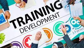 website-hr-training-development